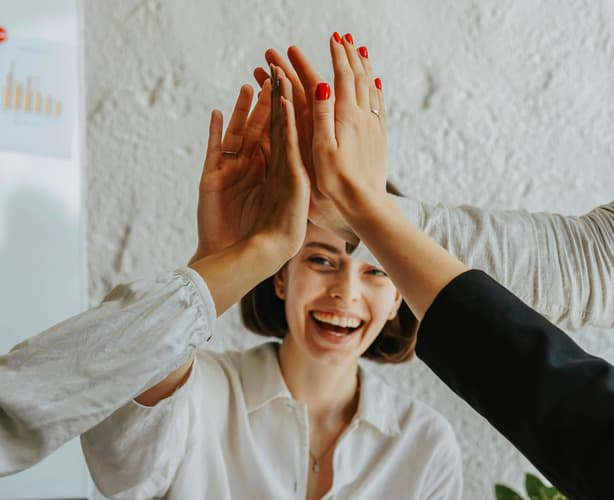 Seller dashboard preview